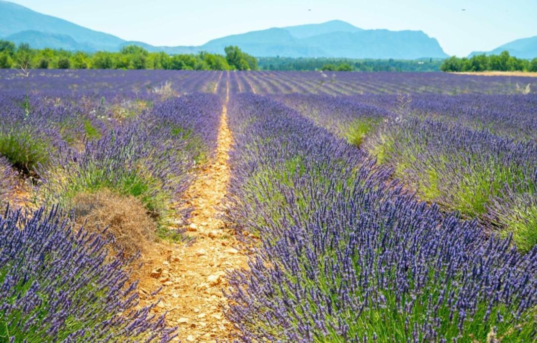 Fuvolea, Maison De Vacances A 15 Min Du Centre D'Aix-En-Provence, Piscine Chauffee En Saison - Jardin - Parking Prive Gratuit Фюво Экстерьер фото