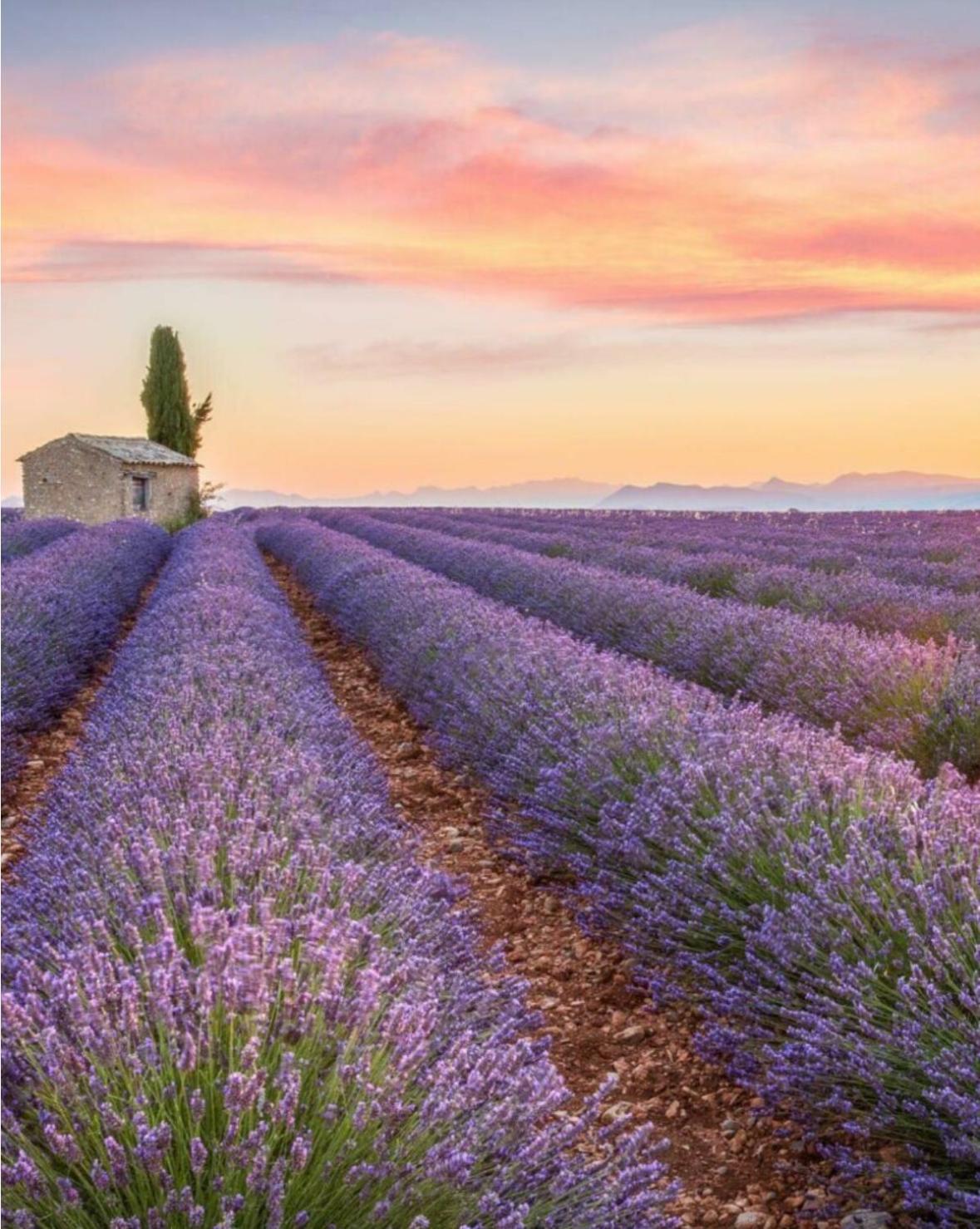 Fuvolea, Maison De Vacances A 15 Min Du Centre D'Aix-En-Provence, Piscine Chauffee En Saison - Jardin - Parking Prive Gratuit Фюво Экстерьер фото